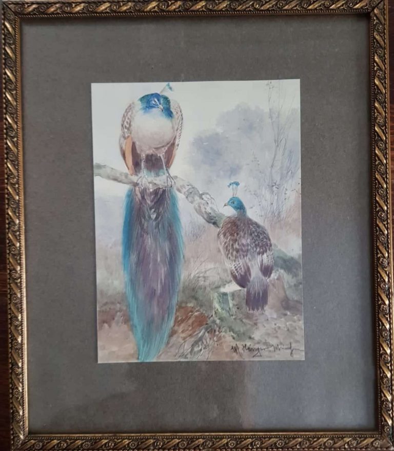 Max hänger - pfauen • kunst & antiquitäten berlin